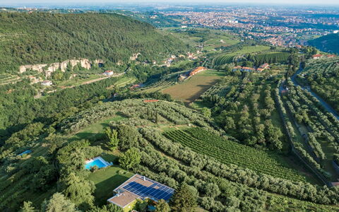 Villa degli Ulivi 8: Verde, Naturaleza, Entorno Natural, Vista Panorámica, Vegetación, Paisaje, Paisaje Natural, Fotografía Aérea, Tierras Altas, El Terreno Del Lote
