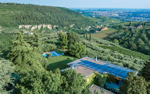 Villa degli Ulivi 8: Árbol, Vegetación, Vista Panorámica, Paisaje, Fotografía Aérea, El Terreno Del Lote, Piscina, Hill Station, Eco Hotel, Jardín