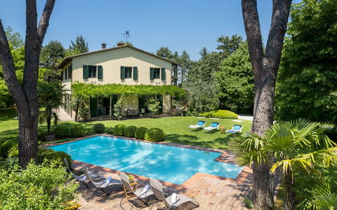 Villa Paesante 8: Arbusto, Casa, Piscina, Inmuebles, Jardín, Cabaña, Villa, Casa De Campo, Césped, Recurso