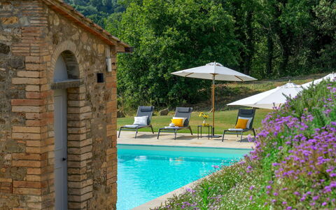 Villa Il Pozzo 14: Arbusto, Piscina, Inmuebles, Jardín, Cabaña, Hacienda, Casa De Campo, Paisajismo, Mueble Para Exteriores, Villa