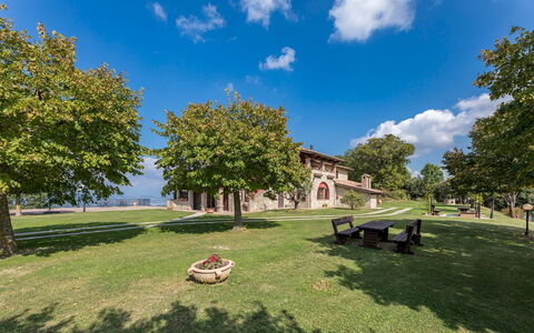 Tenuta Montiepoli 12+3: Hierba, Paisaje, Espacio Publico, Llanura, Inmuebles, Césped, Sombra, Hacienda, Jardín, Parque