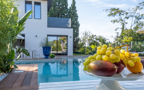 Onda 8: Piscina, Casa, Recurso, Eco Hotel, Jardín, Inmuebles, Paisajismo, Fuente De Agua, Villa, Sombra