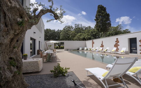 Villa Maria Paradiso 10: Casa, Material Compuesto, Inmuebles, Sombra, Hormigón, Paisajismo, Piscina, Patio, Jardín, Diseño