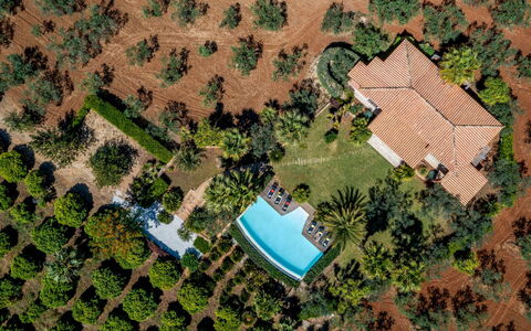 Villa Pineta 6: Árbol, Piscina, Paisaje, Recurso, Inmuebles, Eco Hotel, Jardín, Paisajismo, Hacienda