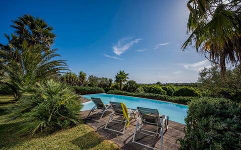 Villa Pineta 6: Azul, Verde, Árbol, Piscina, Vegetación, Recurso, Arbusto, Eco Hotel, Jardín