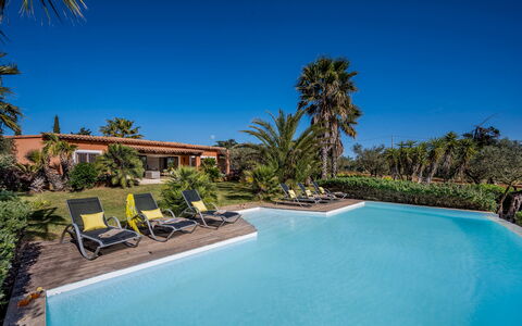 Villa Pineta 6: Azul, Recurso, Piscina, Eco Hotel, Sombra, Zona Tropical, Inmuebles, Hacienda, Paisajismo