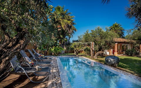 Villa Antura 4: Piscina, Azul, Árbol, Recurso, Eco Hotel, Mueble Para Exteriores, Sombra, Inmuebles, Sunlounger, Hacienda
