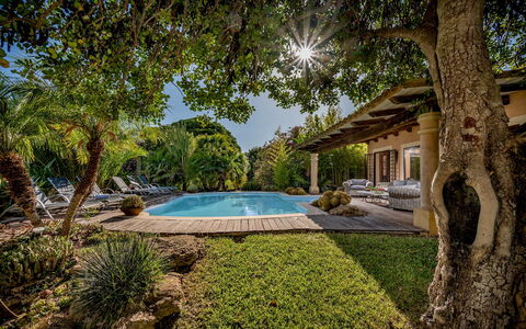 Villa Ashram 6: Piscina, Árbol, Recurso, Sombra, Mueble Para Exteriores, Eco Hotel, Inmuebles, Jardín, Paisajismo