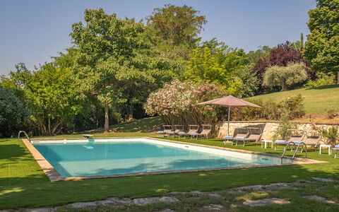 Dolce Collina 10: Árbol, Piscina, Verano, Arbusto, Jardín, Ocio, Sombra, Inmuebles, Césped, Paisajismo