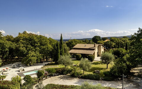 Villa Sparta 8+2: Árbol, Hoja, Vegetación, Arbusto, Casa, Paisaje, Casa, El Terreno Del Lote, Jardín