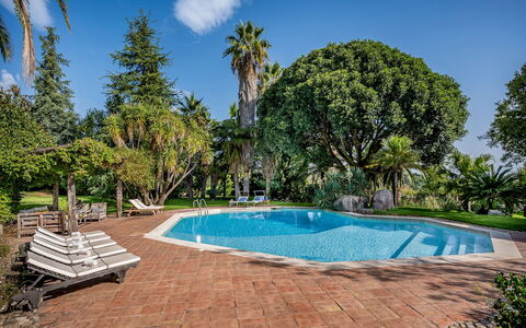 Linera 10: Piscina, Árbol, Recurso, Sombra, Eco Hotel, Jardín, Paisajismo, Inmuebles, Hacienda