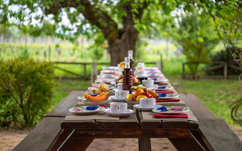 Sangiovese 14: Vajilla, Mesa, Mueble, Comida, Mueble Para Exteriores, Jardín, Mesa Al Aire Libre, Utensilios Para Servir, Desayuno, Picnic