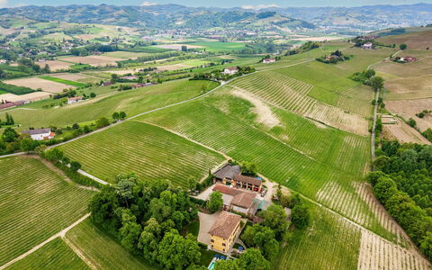 Tenuta Schiavon Barrero 12: Agricultura, Llanura, Paisaje, Campo, Plantación, Vista Panorámica, Área Rural, El Terreno Del Lote, Asentamientos Humanos, Fotografía Aérea