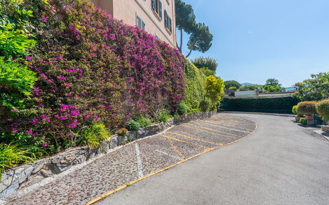 La Scogliera di Sori 5+1: Arbusto, Rosado, Cobertura Del Suelo, Jardín, Acera, Primavera, Cobertura, Paisajismo, Pasarela, Jardín Botánico