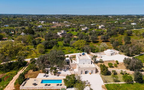 Masseria Grotta Antica 6+2: Árbol, Paisaje, Inmuebles, Vista Panorámica, Paisajismo, Fotografía Aérea, Piscina, Villa, Hacienda, Plantación