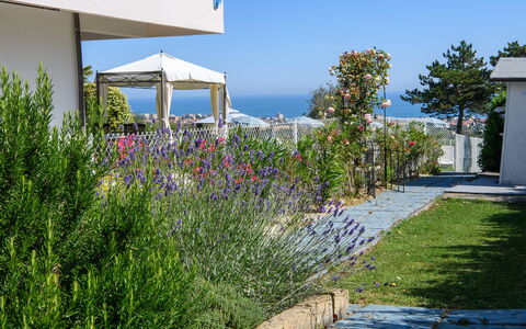 Villa Alma 8+2: Flor, Arbusto, Jardín, Paisajismo, Sombra, Yarda, Jardín Botánico, Pasarela