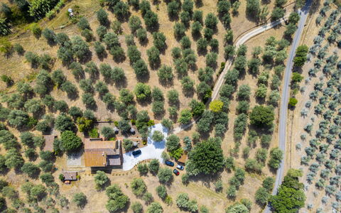 Casale le Lupe Apartments: Árbol, Paisaje, Área Rural, El Terreno Del Lote, Vista Panorámica, Plantación, Fotografía Aérea, Pueblo, Paisajismo, Granja