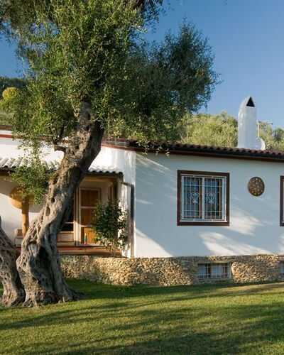 Villa Oliveta