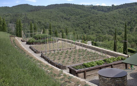 La Maccinaia 14: Hierba, Árbol, Paisaje, Hill Station, Pendiente, El Terreno Del Lote, Planta, Colina, Arbusto