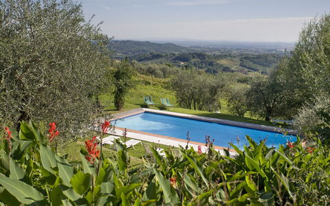 La Loggia 13: Propiedad, Piscina, Casa, Bienes Raíces, Hierba, Árbol, Villa, Área Rural, Edificio, Paisaje