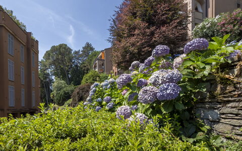 Residenza del Pascià: Verde, Hoja, Vegetación, Arbusto, Planta De La Comunidad, Jardín, Cobertura Del Suelo, Primavera, Paisajismo, Condominio