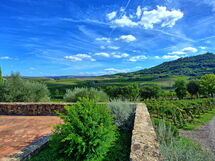 Brunello