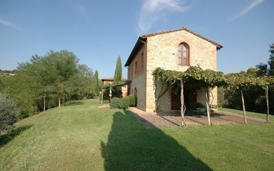Lavanda - Montefoscoli, Toscana, Italia - Lavanda 2