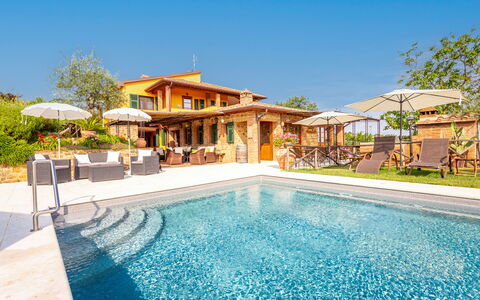 Villa Amadeo: Agua, Planta, Cielo, Propiedad, Piscina, Azur, Árbol, Edificio, Ocio, Arecales