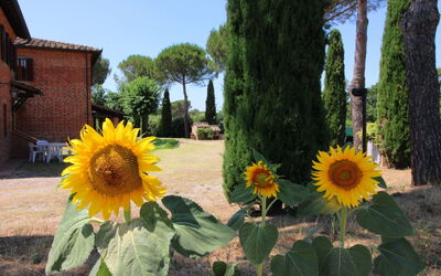Fattoria Il Musarone