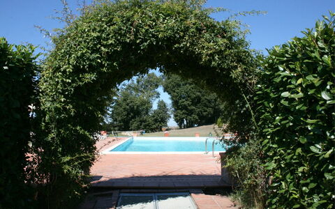 Fattoria le Chianacce: Arco, Propiedad, Arquitectura, Árbol, Cielo, Botánica, Arbusto, Jardín, Planta, Bienes Raíces