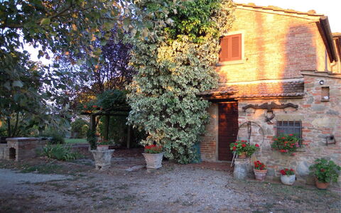 Fattoria la Gabola: Planta, Edificio, Ventana, Maceta, Hoja, Vegetación, Superficie De La Carretera, Casa, Biome, Árbol