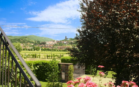 Pozzonovo: Colina, Paisaje, Arbusto, El Terreno Del Lote, Jardín, Primavera, Hill Station, Césped, Paisajismo, Yarda