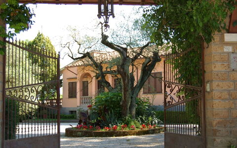 Casa Grion: Planta, Edificio, Propiedad, Ventana, Hoja, Cielo, Sombra, Casa, Árbol, Cerca