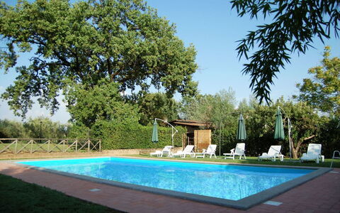 Casa Grion: Agua, Planta, Cielo, Propiedad, Verde, Azur, Sombra, Hierba, Piscina, Árbol