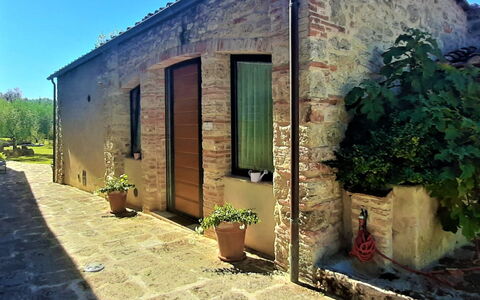 Pieve di Sant Ippolito: Planta, Edificio, Verde, Cielo, Maceta, Puerta, Ventana, El Terreno Del Lote, Planta De Casa, Pared