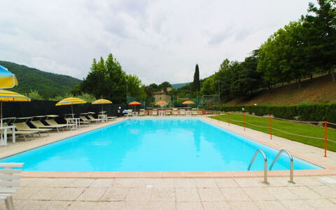 Casale Aiola: Agua, Cielo, Planta, Nube, Piscina, Verde, Árbol, Azur, Hierba, Ocio