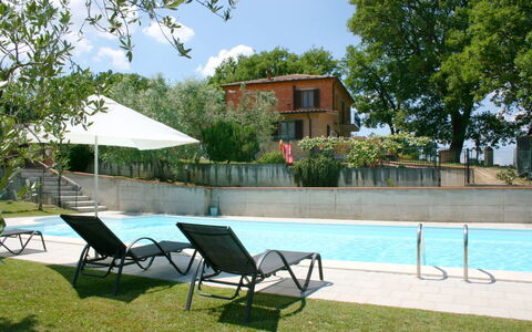 Podere San Bono: Agua, Edificio, Cielo, Planta, Propiedad, Mueble, Naturaleza, Árbol, Piscina, Sombra