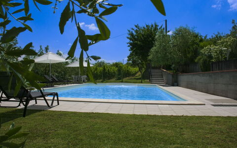 Podere San Bono: Piscina, Mueble Para Exteriores, Recurso, Sombra, Jardín, Eco Hotel, Paisajismo, Patio Interior, Sunlounger, Inmuebles