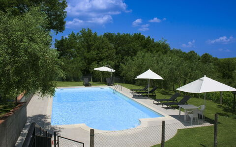 Podere San Bono: Piscina, Mueble Para Exteriores, Mueble, Recurso, Sombra, Material Compuesto, Sunlounger, Silla, Ocio, Paraguas