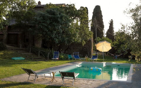 Olivo: Agua, Planta, Cielo, Verde, Piscina, Árbol, Sombra, Mueble Para Exteriores, Hierba, Edificio