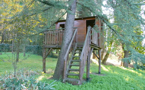 Olivo: Planta, Árbol, Madera, Paisaje Natural, El Maletero, Biome, Hierba, Edificio, Escalera, Área Rural