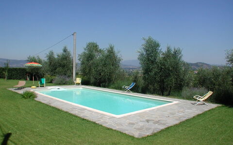 Olivo: Cielo, Agua, Planta, Edificio, El Terreno Del Lote, Rectángulo, Sombra, Ocio, Hierba, Piscina