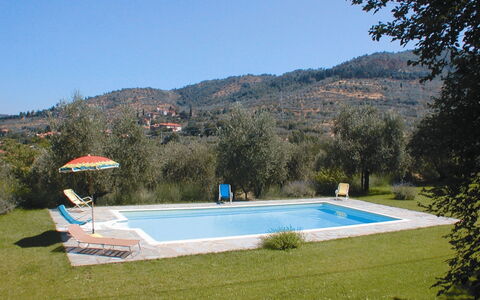 Olivo: Agua, Cielo, Planta, Piscina, Montaña, Sombra, Rectángulo, Árbol, El Terreno Del Lote, Mueble Para Exteriores