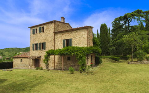 Olivo: Hierba, Casa, Casa, Área Rural, Cabaña, Casa De Campo, Inmuebles, Prado, Césped, Paisajismo