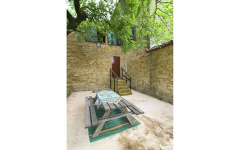 Olivo: Hierba, Casa, Casa, Área Rural, Cabaña, Casa De Campo, Inmuebles, Prado, Césped, Paisajismo