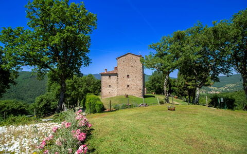 Torre di Vignale: Árbol, Paisaje, El Terreno Del Lote, Área Rural, Parque