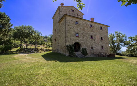 Torre di Vignale: Árbol, Paisaje, El Terreno Del Lote, Área Rural, Parque