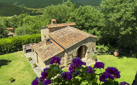 Torre di Vignale: Árbol, Paisaje, El Terreno Del Lote, Área Rural, Parque