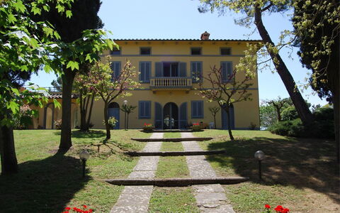 Poggio Falcone: Planta, Cielo, Edificio, Propiedad, Ventana, Botánica, Árbol, Casa, Hierba, El Terreno Del Lote