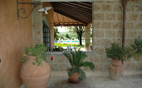 Villa Iris: Planta, Maceta, Planta De Casa, Sombra, Madera, Pared, Florero, Piso, Edificio, Bienes Raíces